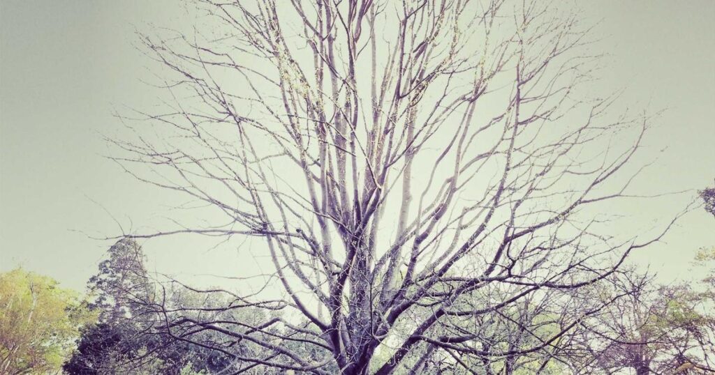 Complex machine with gears and mechanical parts